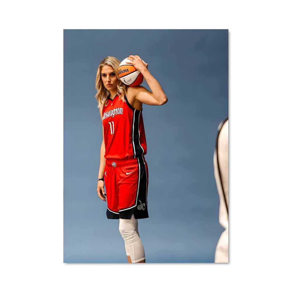Poster Elena de delle